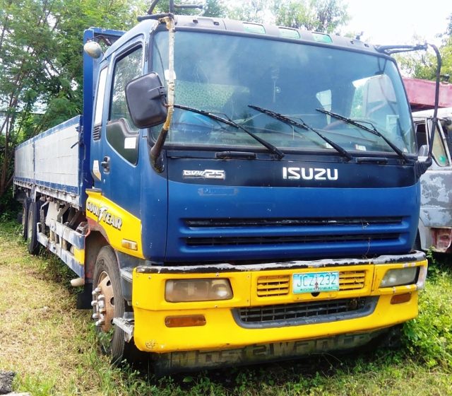 Isuzu Dropside Truck
