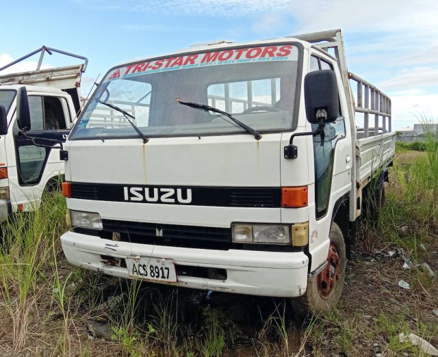 Isuzu Elf Stake Truck